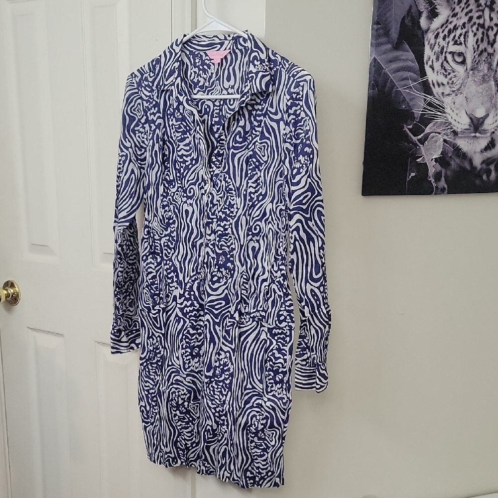 Blue and White Patterned Long Sleeve Dress